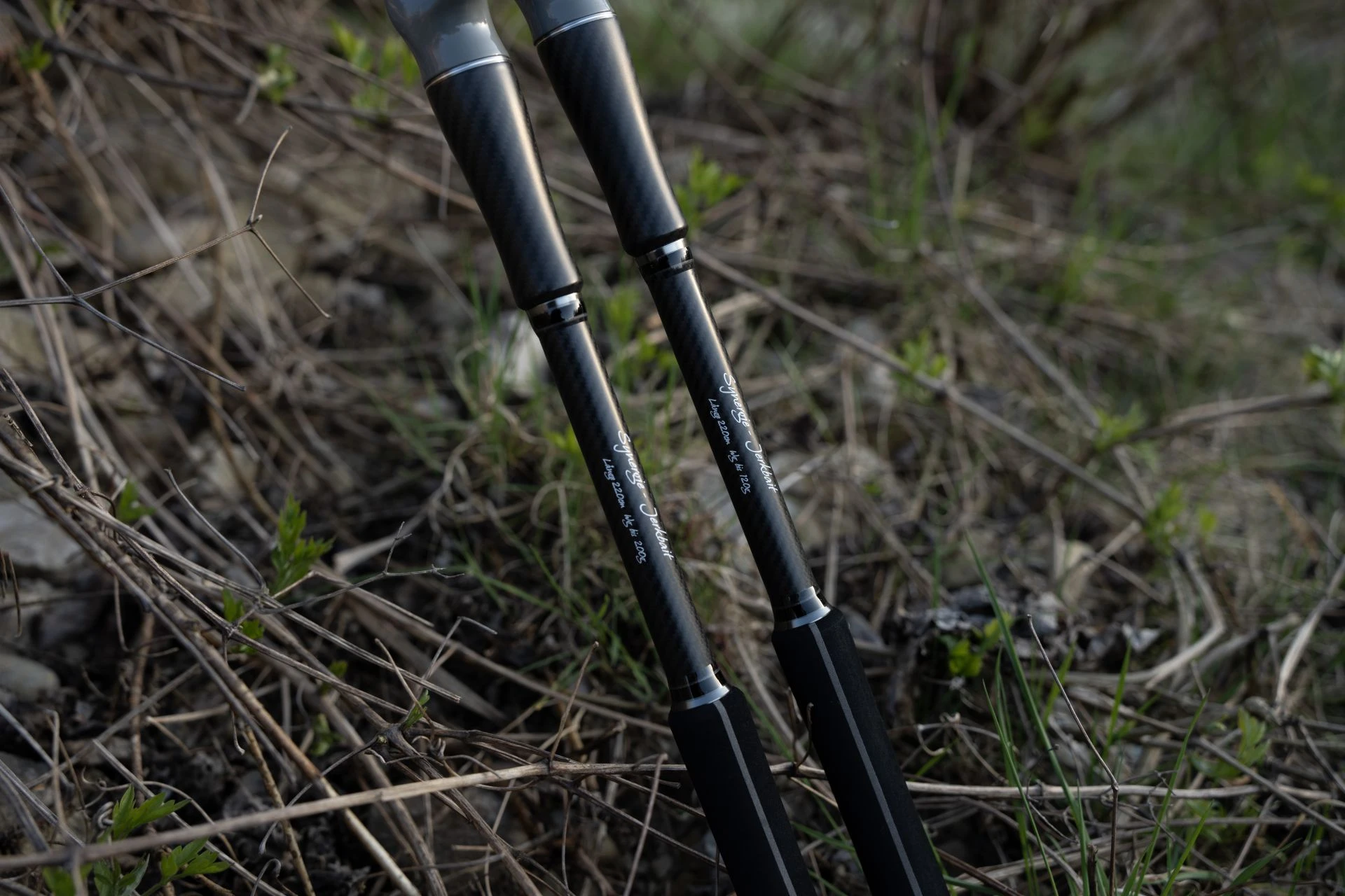 Synergie-Jerkbait 200g Rute