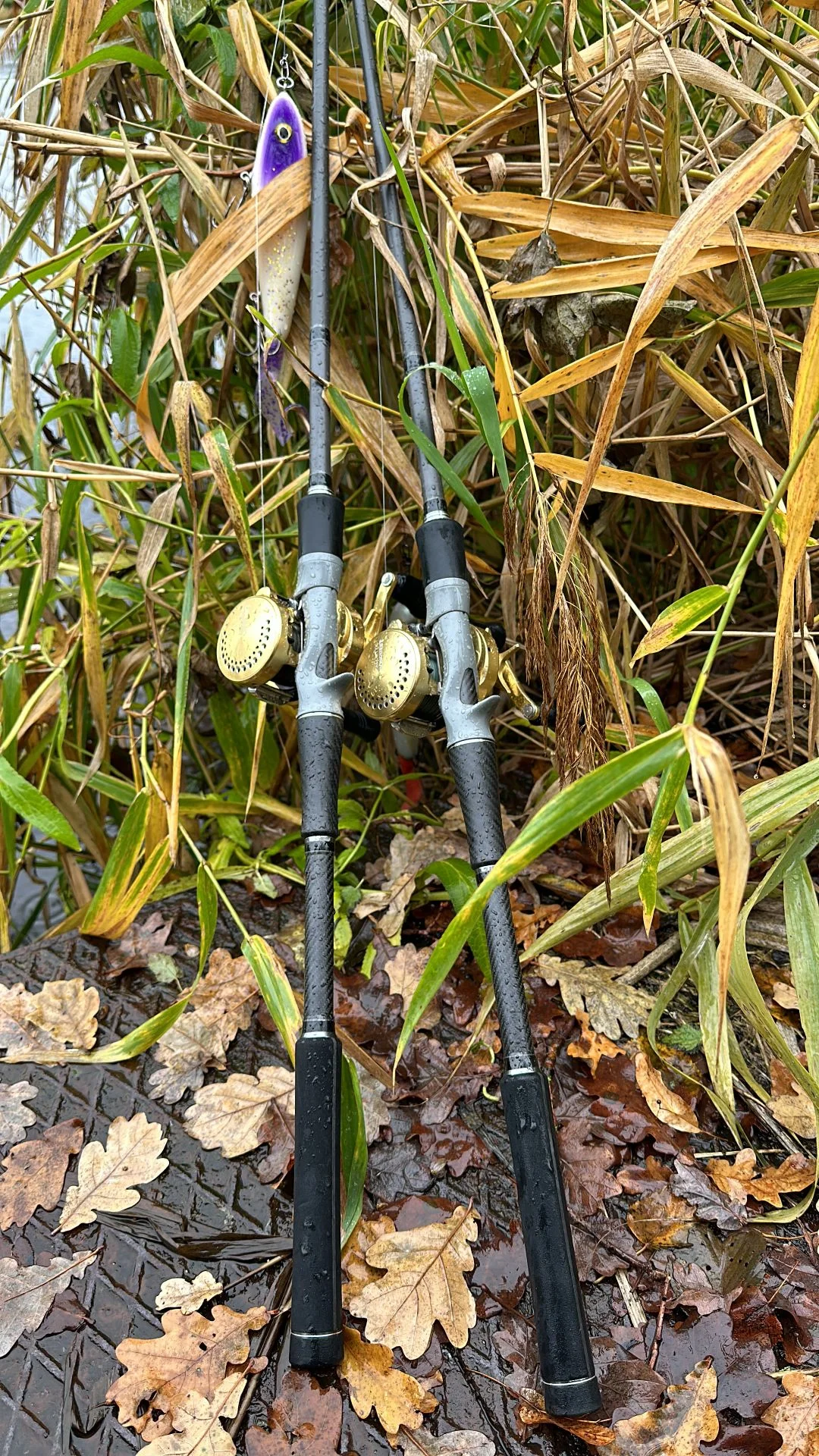 Synergie-Jerkbait 120g Rute