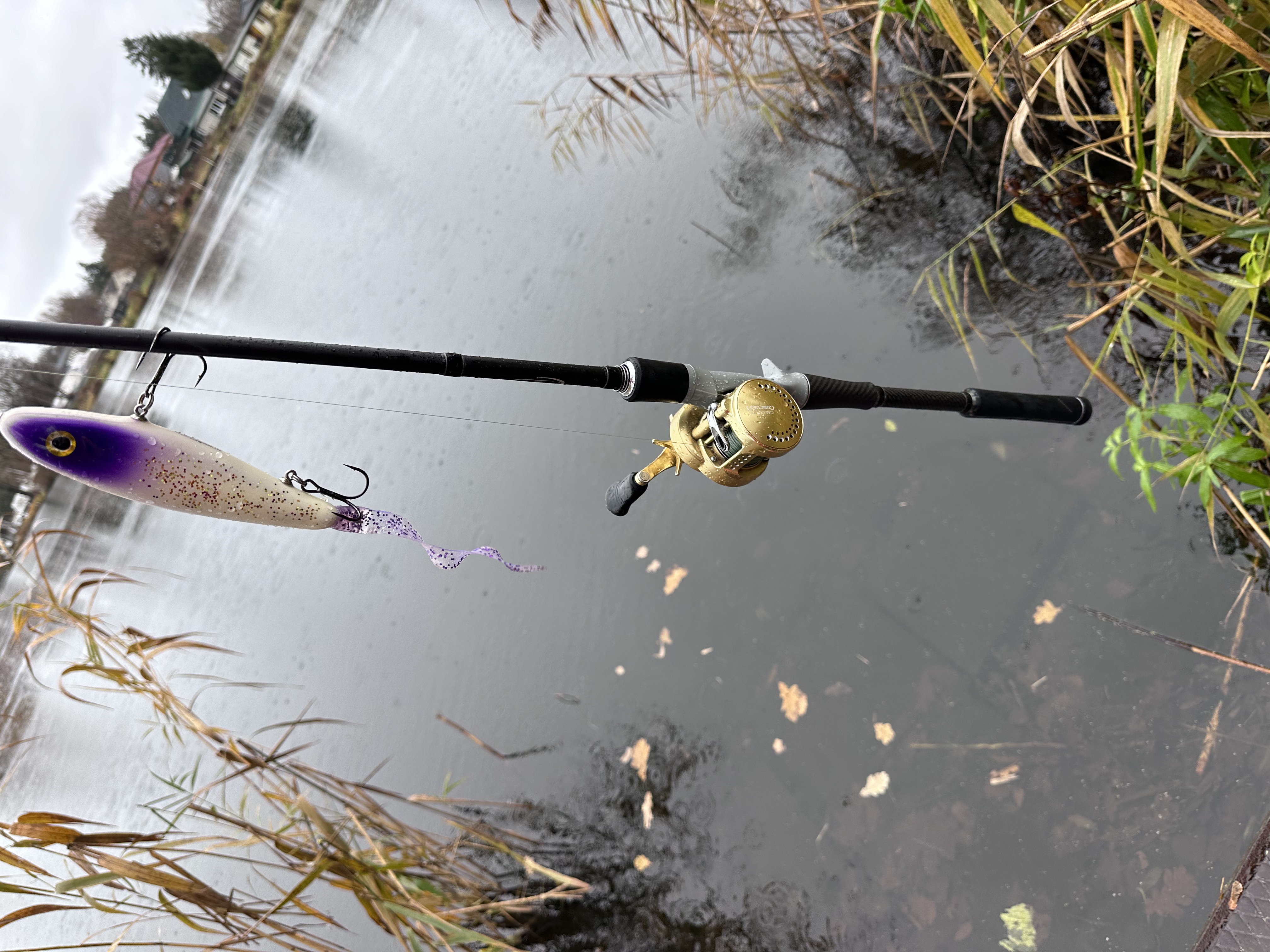Synergie-Jerkbait 120g Rute