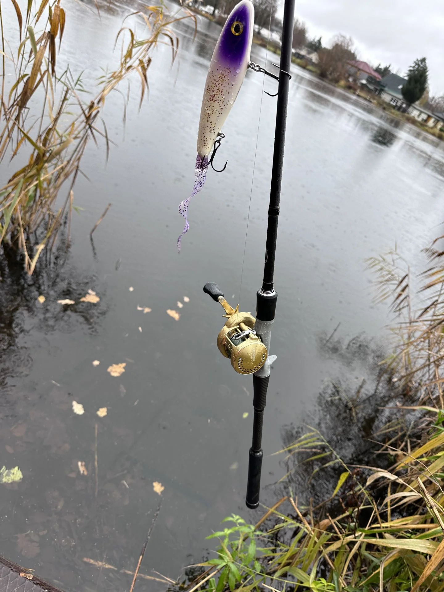 Synergie-Jerkbait 200g Rute