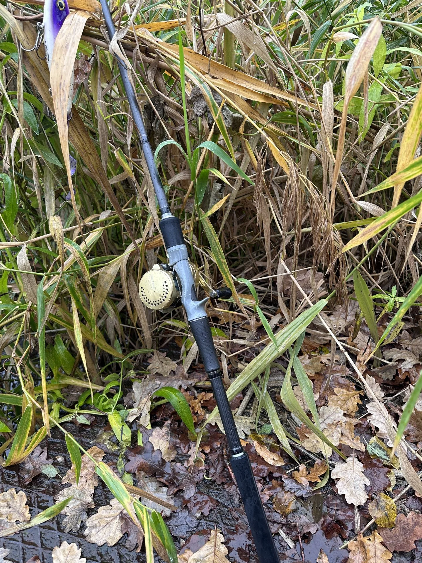 Synergie-Jerkbait 120g Rute