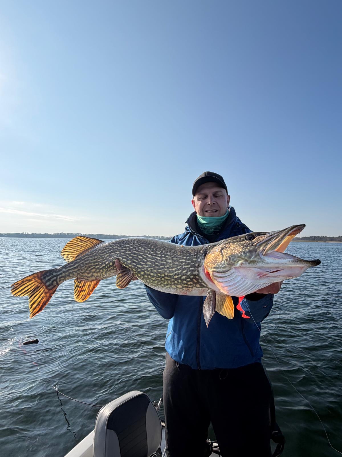 Jerkbait Masterclass