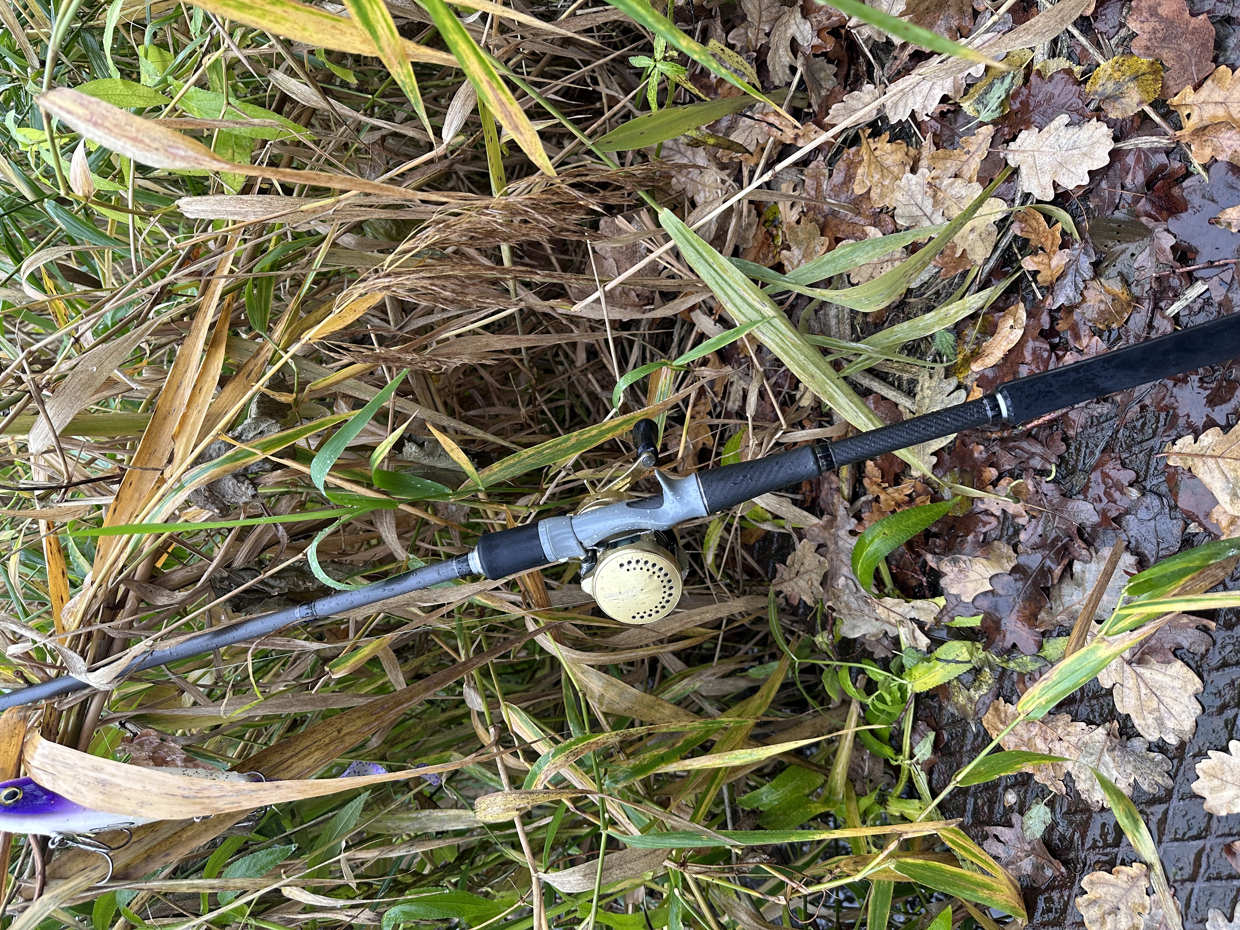 Synergie-Jerkbait 200g Rute
